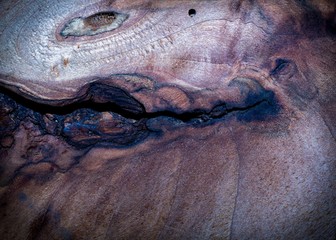 Obraz premium Destroyed wood background with texture