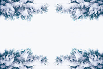 Obraz premium forest in the frost. Winter landscape. Snow covered trees.