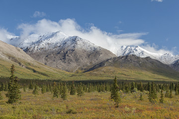 Fototapeta premium Termination dust on the Alaska Range, Denali National Park, Alas