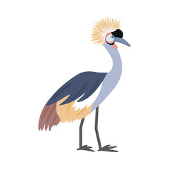 African bird. Crowned crane. Isolated on white background. Vector illustration.