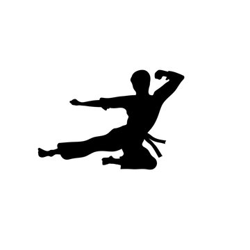 Karate sport vector ,martial art silhouette vector, fight sport vector
