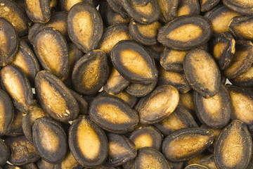 Dry watermelon seeds