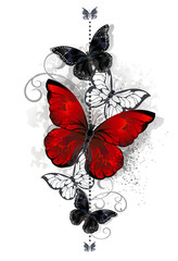 Image of Red and black butterflies printed on Printed Glass Basin Splashbacks