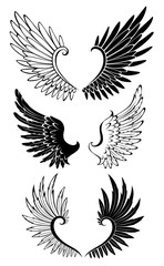 Set of Wings for Tattoo