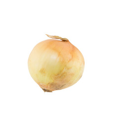 Onion isolated on white background