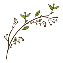 Leaves icon. Plant floral garden decoration and ornament theme. Isolated design. Vector illustration