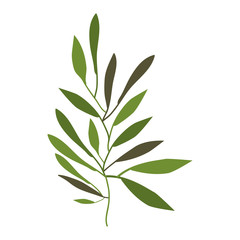 Leaves icon. Plant floral garden decoration and ornament theme. Isolated design. Vector illustration