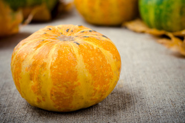 Fall pumpkin and decorative squash with autumn leaves on a linen background
