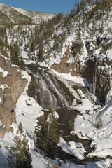 Fototapeta na wymiar Gibbon Falls in winter in Yellowstone National Park.
