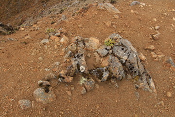 Tongariro National Park
