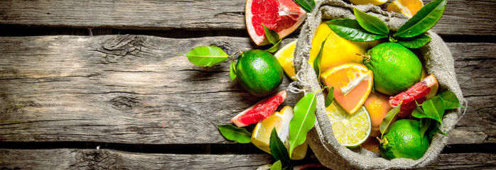 Citrus fruits - grapefruit, orange, tangerine, lemon, lime in th