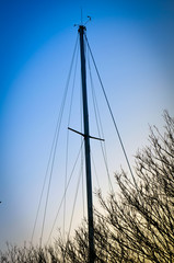 Masts and Branches