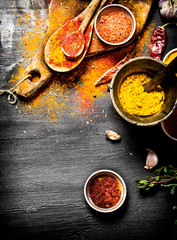 Colorful Indian spices and herbs .