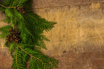 Christmas frame with fir tree