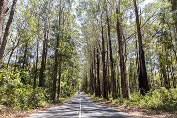 Driving on the open road on the Gold Coast hinterland 