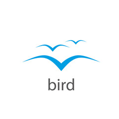 vector bird logo