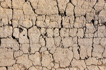 Fragment of cracked soil.