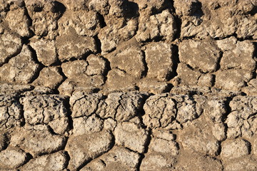 Fragment of cracked soil.