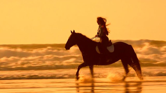 Horses riding on the beach at sunset