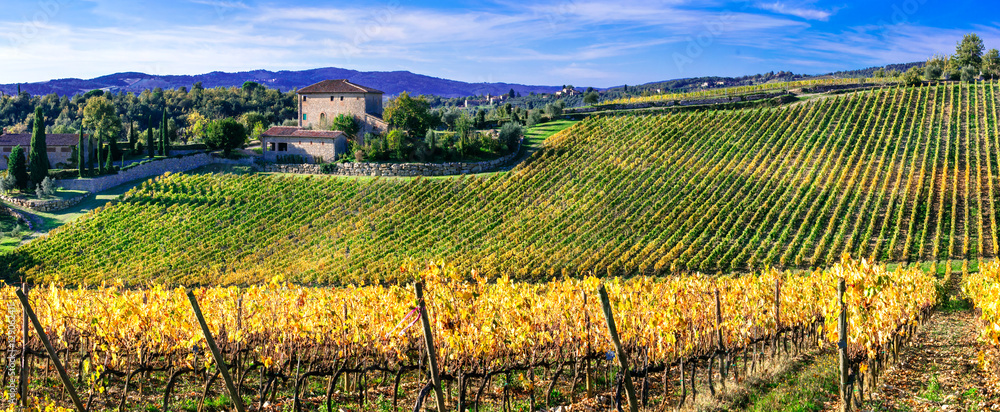 Wall mural Pictorial Tuscany countryside with wineyards. Italy, Chianti region