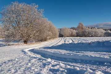 Snowy road in winter time.