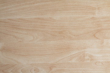 Beech Smooth Wooden Texture
