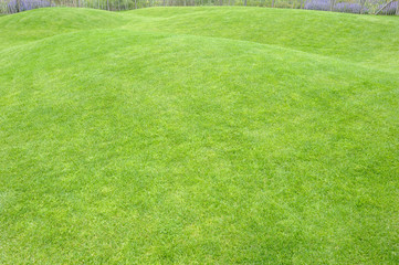 Hill covered with smooth green grass near the fence