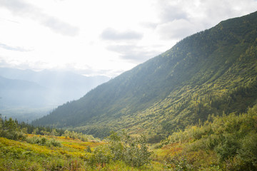 Naklejka premium Dzikie i opuszczone góry Khamar-Daban.