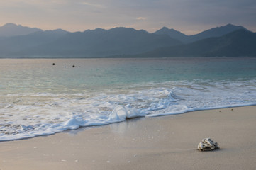 Coral on sand