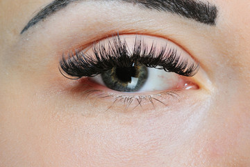 woman's eyes and eyelashes. makeup close-up
