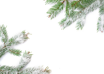 snowy fir branches. Christmas frame and place for text