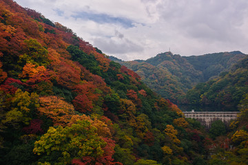 Gohonmutsu dam in autumn forest