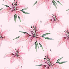Pink lily flowers isolated on pink background. Watercolor handwork illustration. Drawing of blooming lily with green leaves. Seamless pattern with lilies for design.