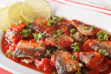 sardines in tomato sauce, decorated with lime and parsley macro. Horizontal