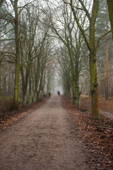 Naklejka premium Grunewald