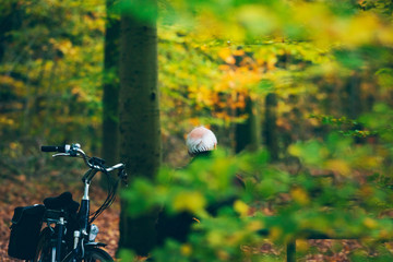 Naklejka premium Senior man with bicycle resting on bench in autumn forest.