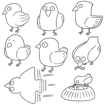 vector set of bird