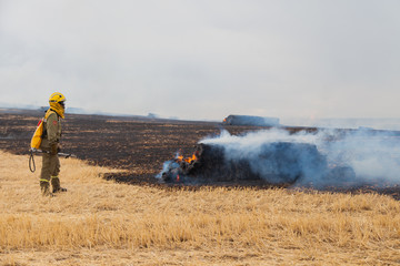 Firefighters putting out fire