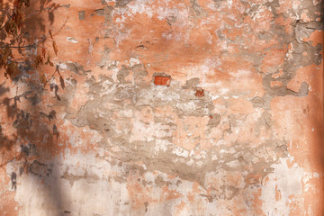old brick plastered shabby  wall with shadow of tree