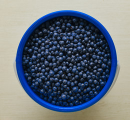 Bilberry In Bucket