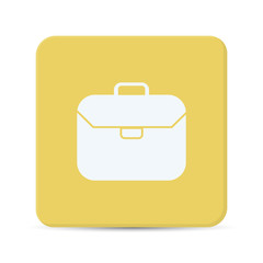 case flat icon vector