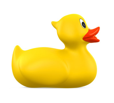 Rubber Duck Isolated