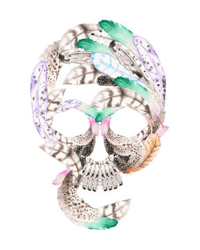 Skull from watercolor feathers illustration, hand drawn isolated on a white background