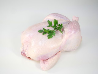 raw chicken © Witold Krasowski