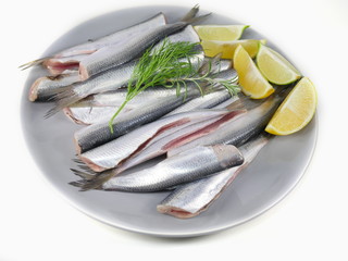  fresh fishes herrings