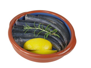  fresh fishes herrings