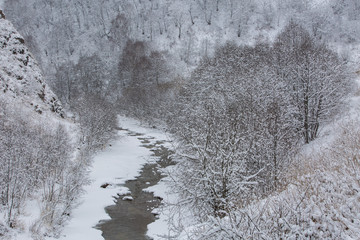 Russia, the Caucasus Mountains, Kabardino-Balkaria. Early in the morning all the trees in the woods covered with frost due to frost.