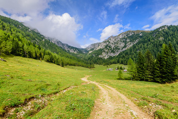 Naklejka na ściany i meble The picturesque Alpine landscape. Triglav national Park, Bohinj, Slovenia