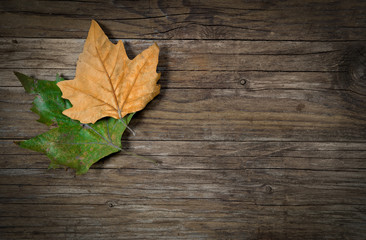 Naklejka na ściany i meble dry leaves on wood