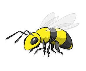 Bee Hornet Wasp Insect. A hand drawn vector cartoon illustration of a yellow bumblebee.